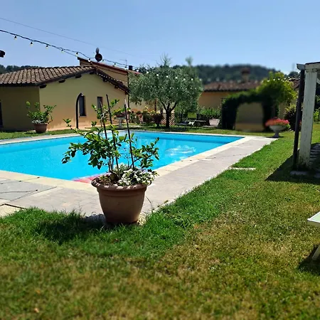 Torre Guelfa, Vinsantaia * Figline Valdarno