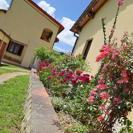 Holiday home Torre Guelfa, Vinsantaia *